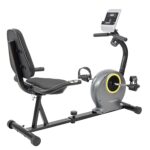 Bicicleta fitness cu spatar-orizontala de recuperare TECHFIT R300